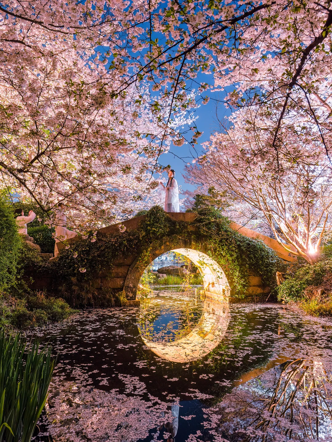 以为西湖的樱花够美了，知道我去了这里....