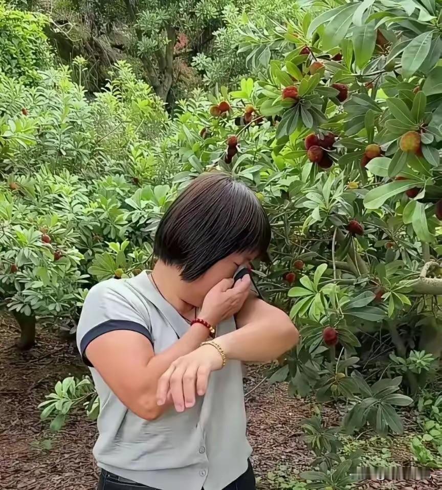 果农：别人都泡，我不泡卖不出去，我也没办法！近日，福建漳州龙海区浮宫镇、白水镇