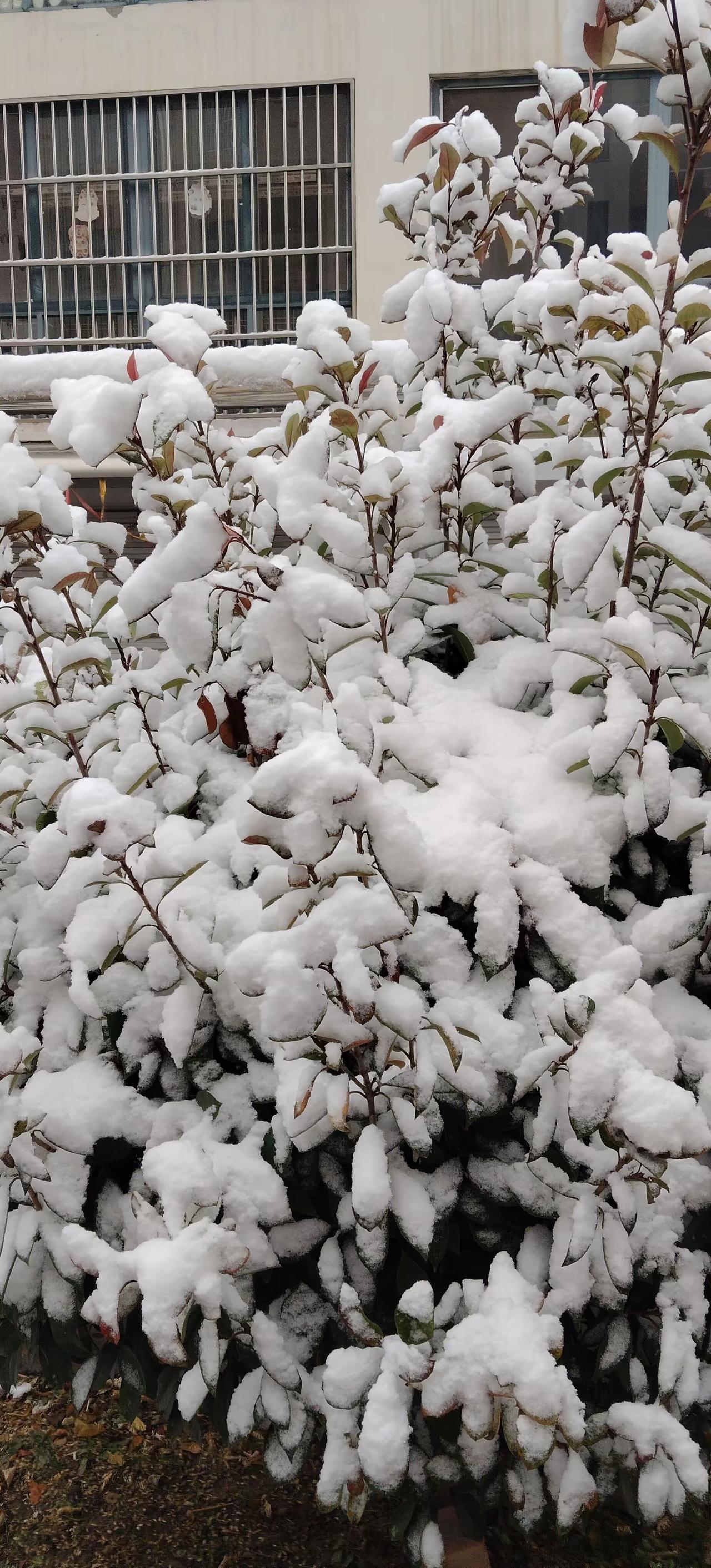 丈夫突然问妻子：