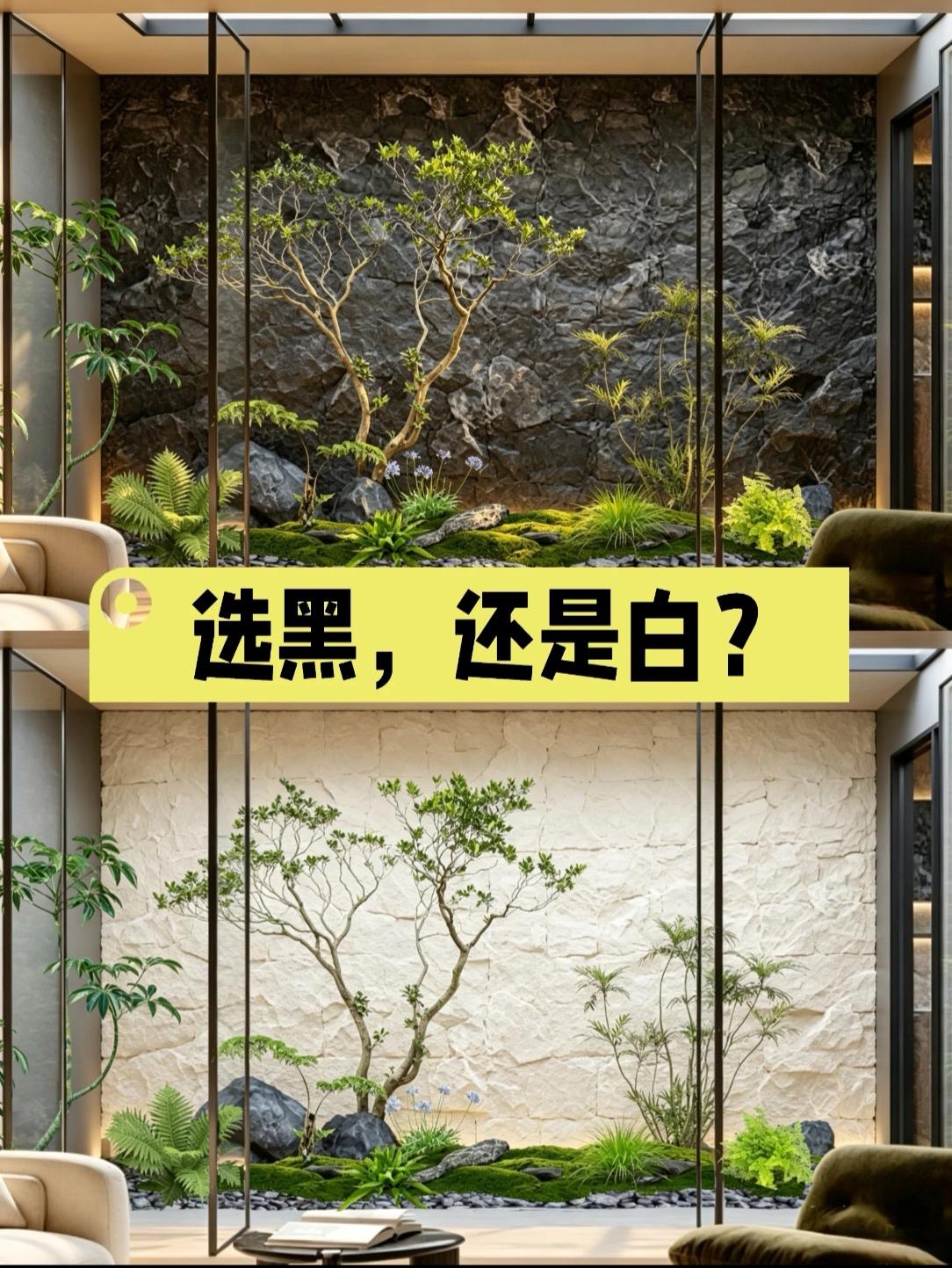 家人们，选黑还是白？