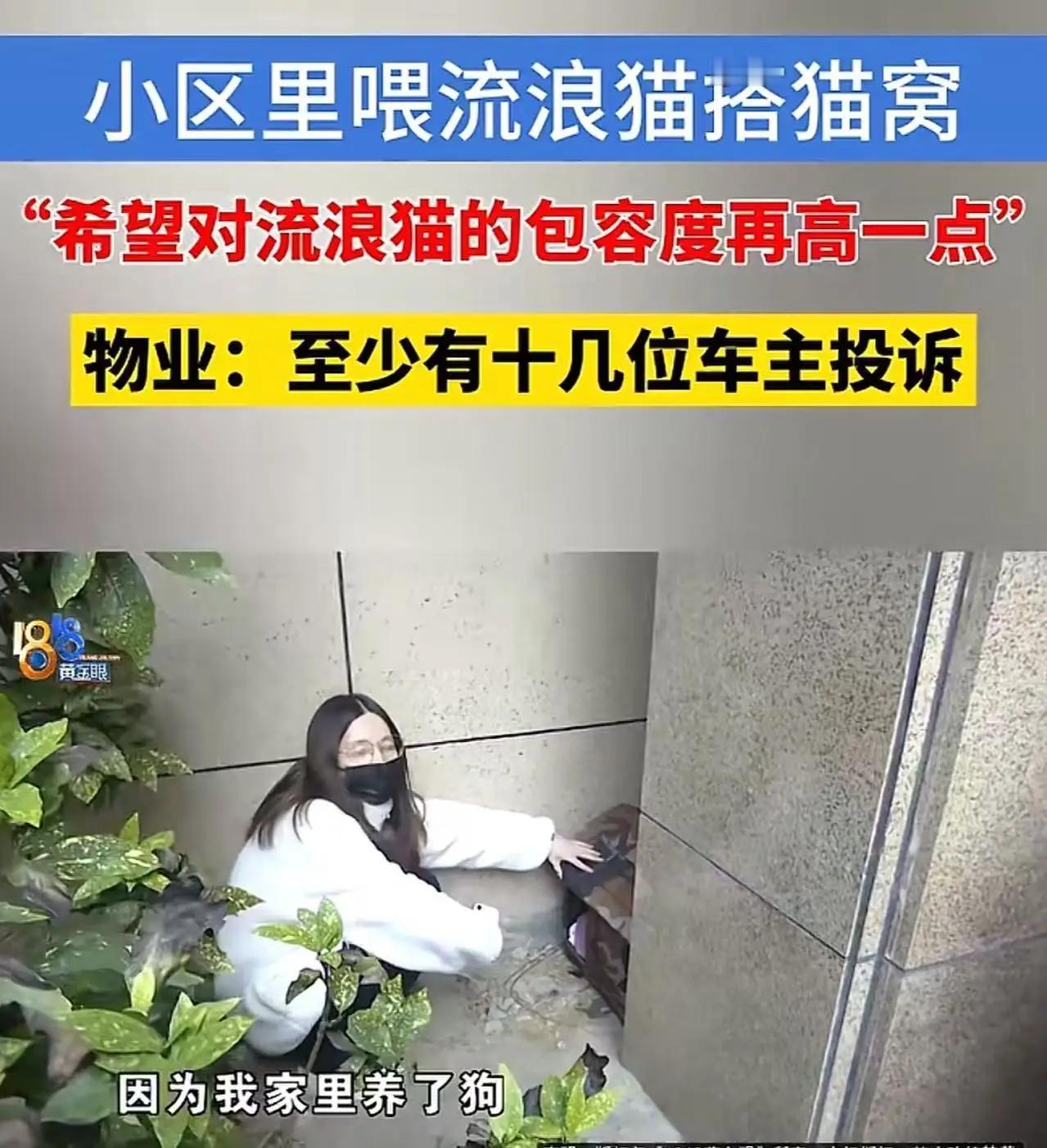 浙江宁波，一位女子因在小区投喂流浪猫、搭建猫窝，被邻居投诉后，物业直接清理了猫窝