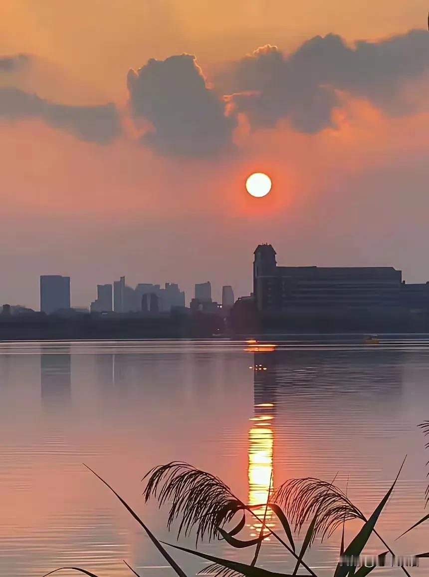 非常实在的话：“其实人真正需要的，不是婚姻，不是性，甚至都不是伴侣，而是正向的亲