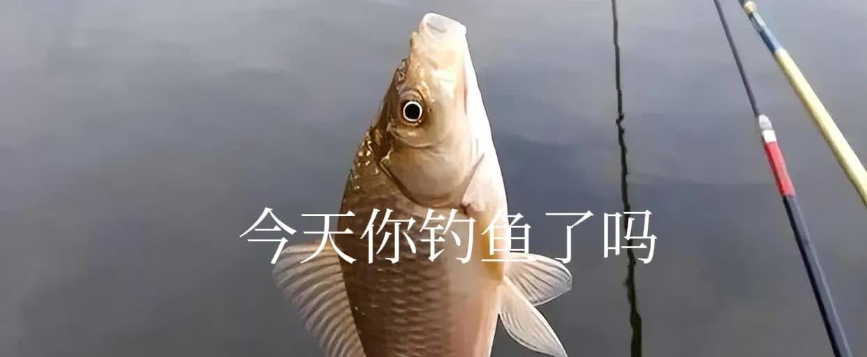 三伏天钓鱼，这3个地方千万别去，去了也是空军一、阳光直射的浅水区（尤其是