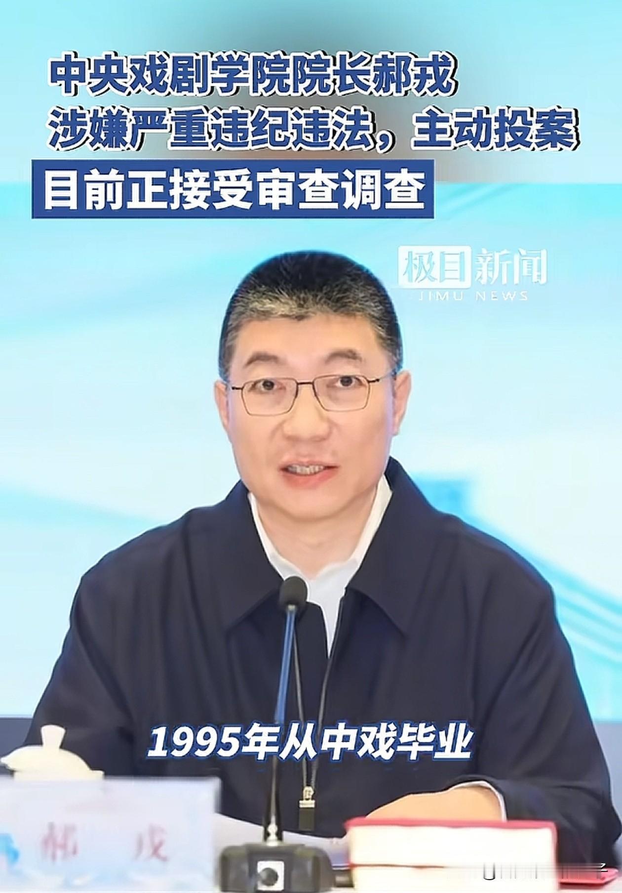 戏精院长栽了！中戏院长这事儿，哪是啥荒诞剧啊，简直是给所有艺考生来的一记闷棍