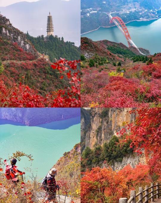 本周末三峡之巅+三峡龙脊重庆组队！最近天气转凉了，到了户外徒步最舒适的季节推荐