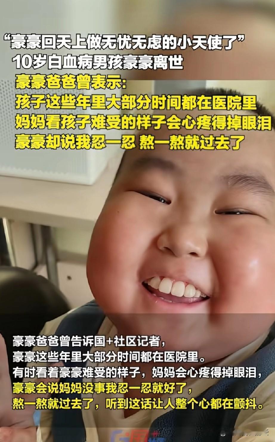 10岁的豪豪在今天凌晨去世，虽然大家都对这个可爱、乐观的抗癌男孩很不舍。但是豪豪