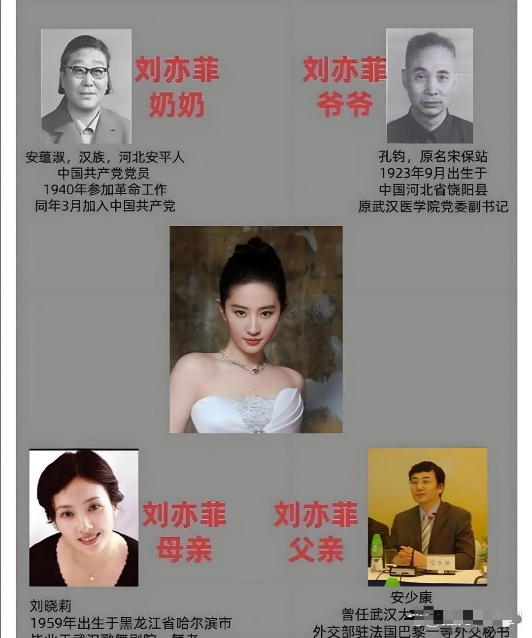 刘亦菲的家庭背景确实引发过不少讨论。她父母在她幼年离异，母亲刘晓莉独自带她移民美