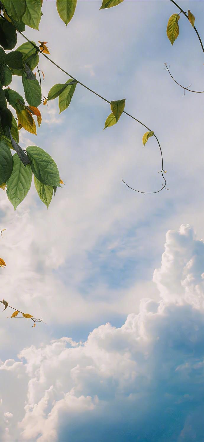 今年还有11月、12月，这2个月里面，个人觉得国内要么再降息一次，要么就是降准，