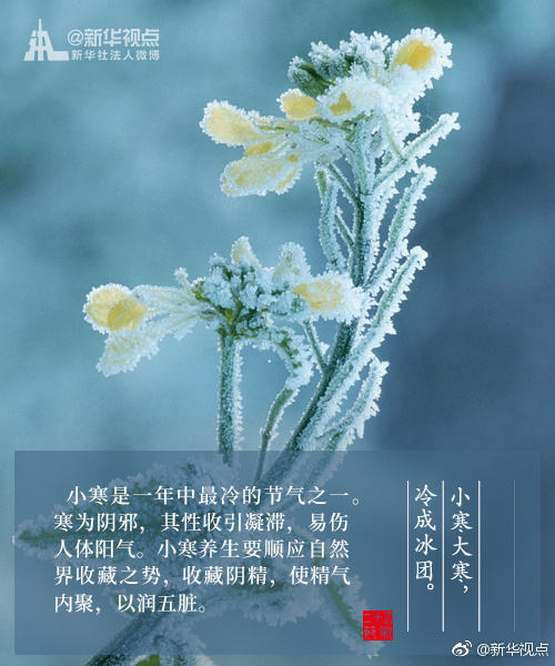 冷! 冷! 冷! 小寒节气到, 怎样养生?