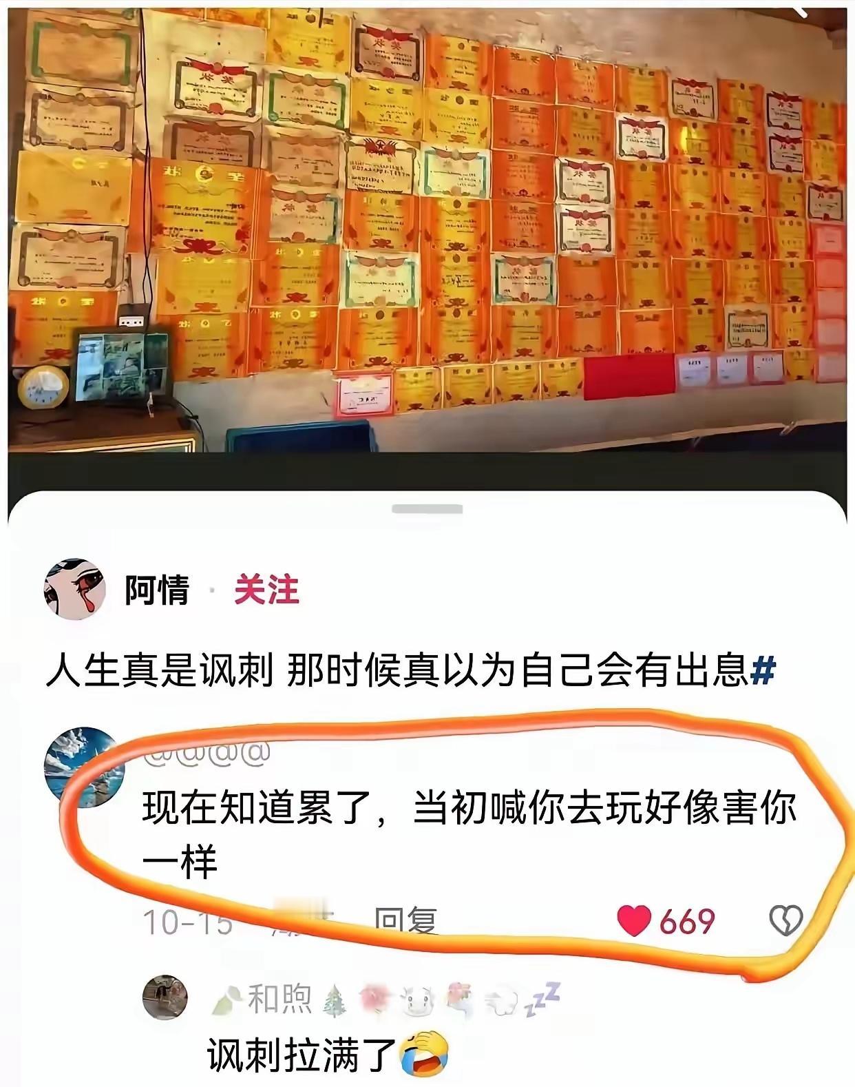 “这贴满一墙的奖状，是韭菜们唯一值得自豪的了。”“当年墙上一张奖状都没有的我