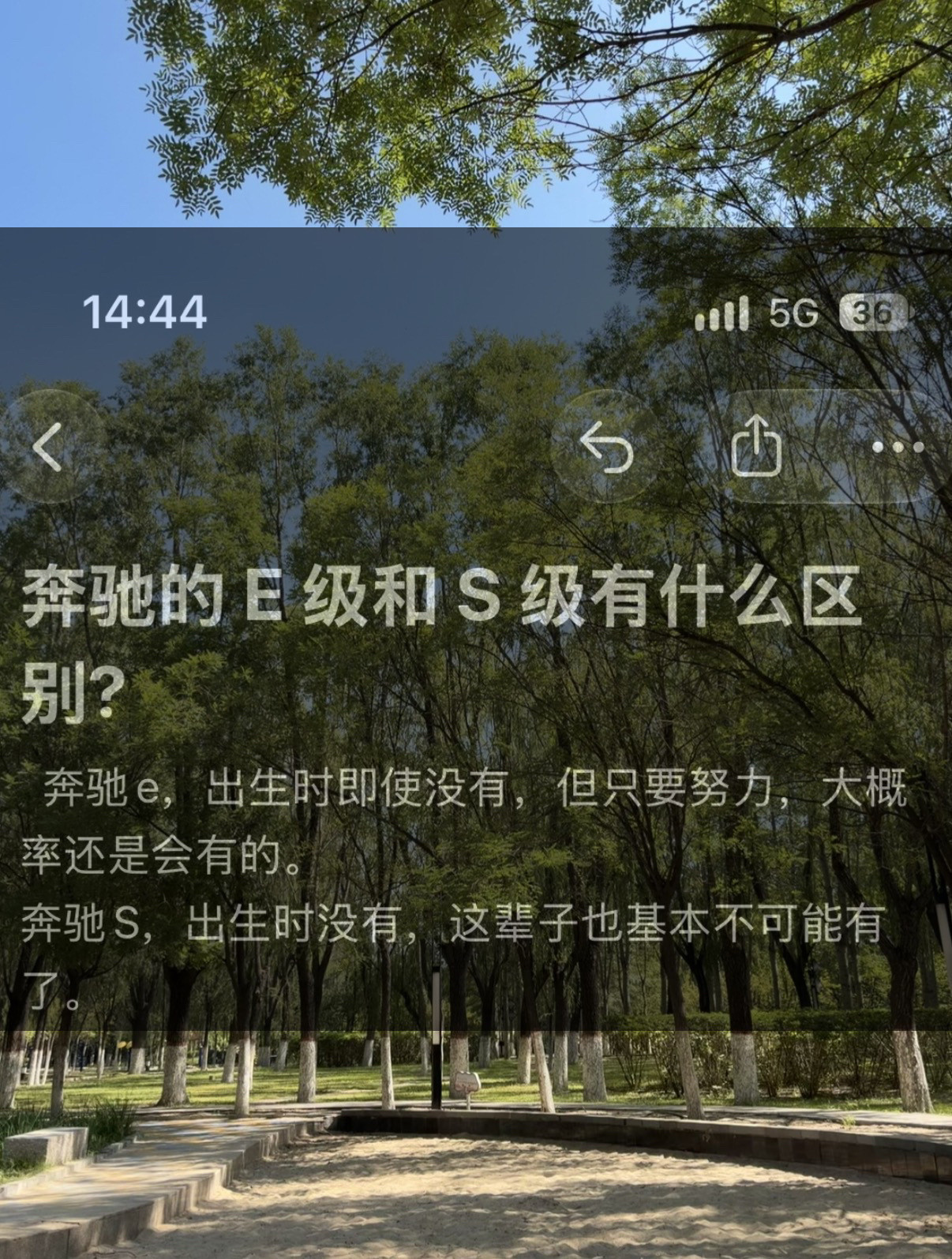 奔驰的E级和S级有什么区别?奔驰