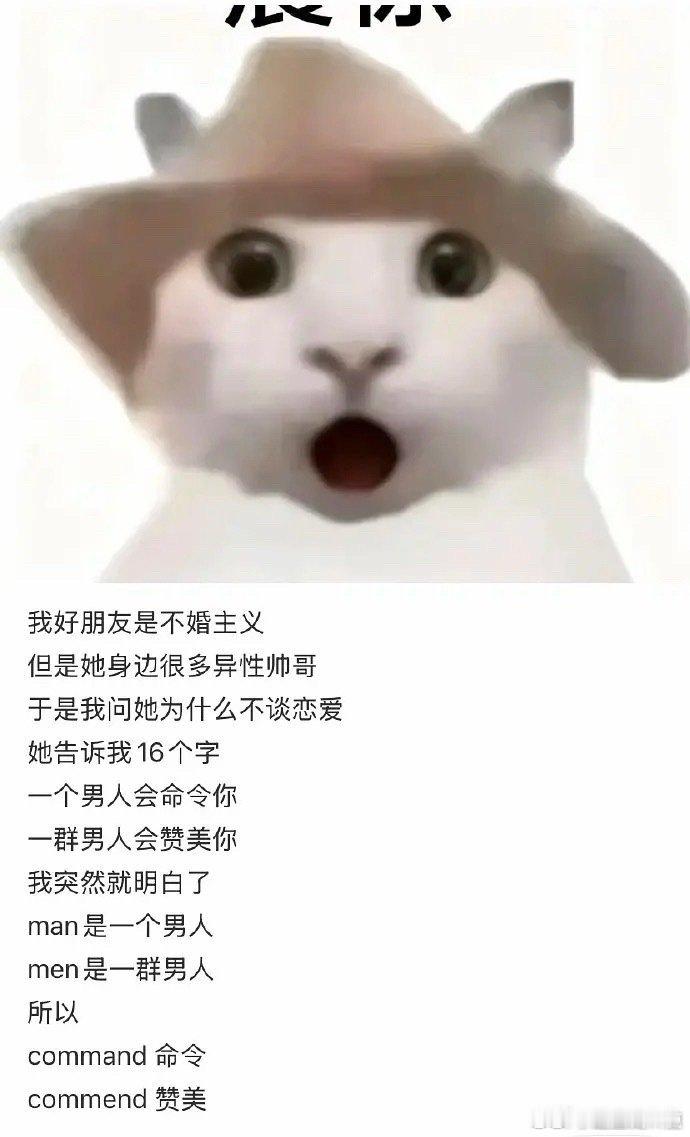 知识以奇怪的姿势进入大脑