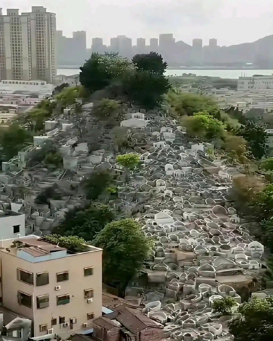 这就是为什么要大力推崇火葬的原因