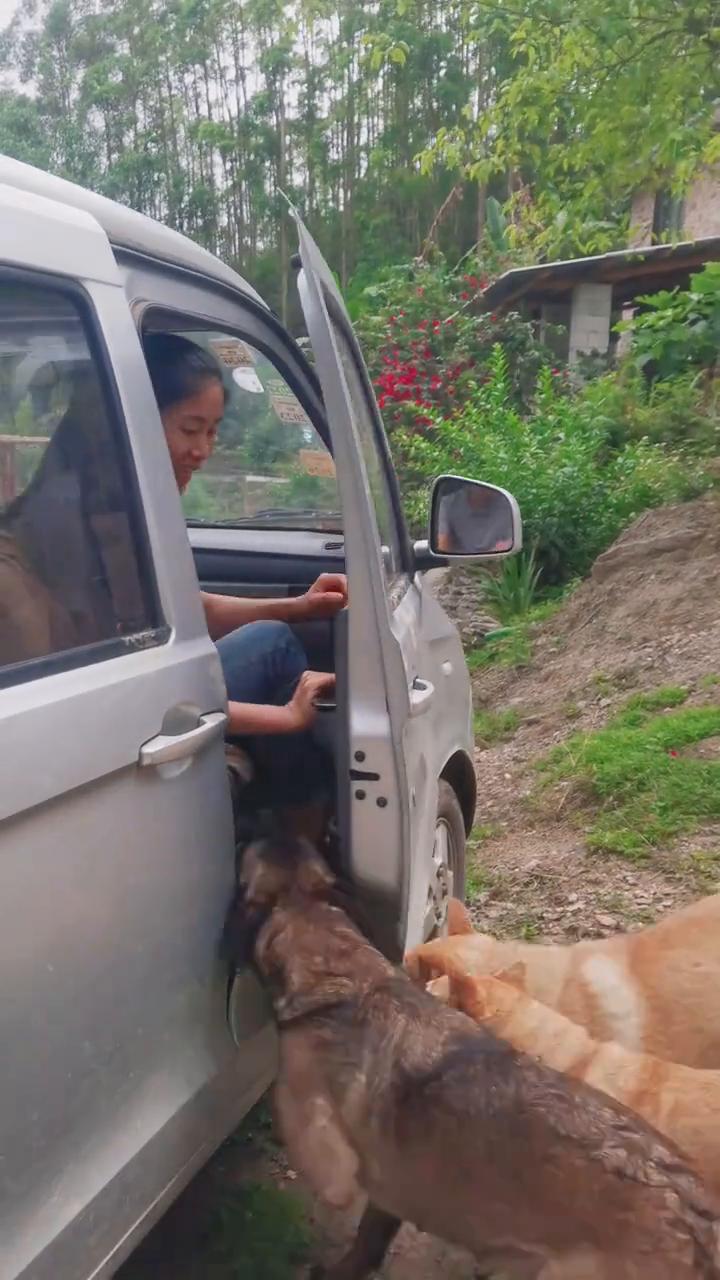 上车，卖掉。