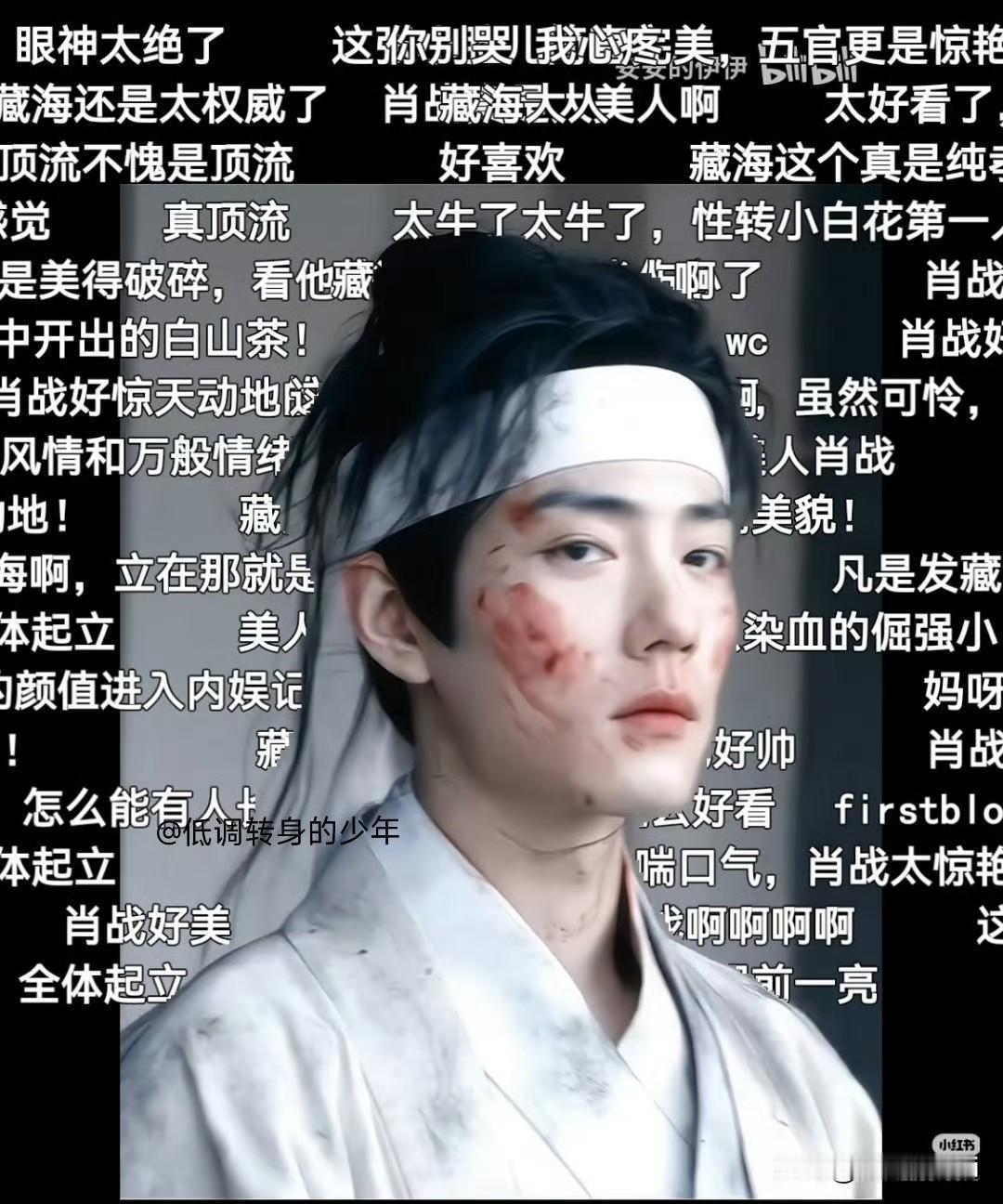 肖战藏海大人的弹幕太权威了