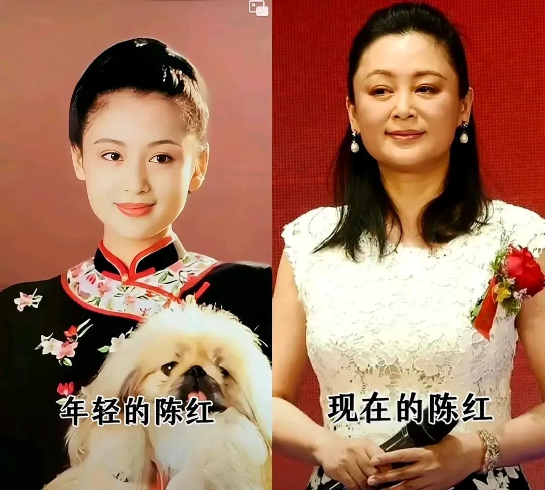 明年也是岁月不饶人啊！原来娱乐圈中顶流漂亮的大明星。陈红年轻的时候圆圆的脸蛋，