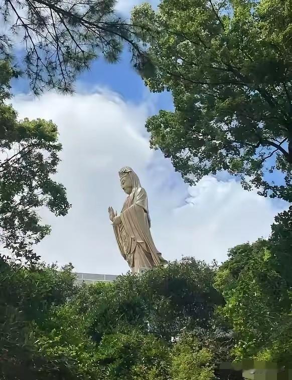 通知一下，大家好有个心理准备。今天8月23号，终于要结束今年40天的超长三伏