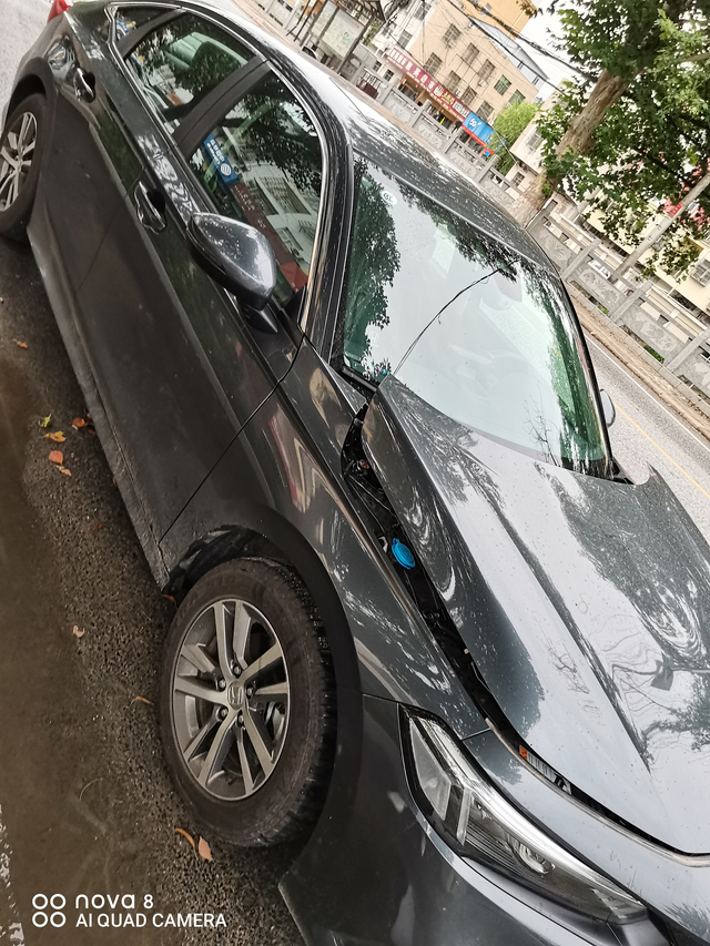 建议取消行人保护装置昨天，河南新县国道路过村庄四十码速度，一条狗突然窜出来，不