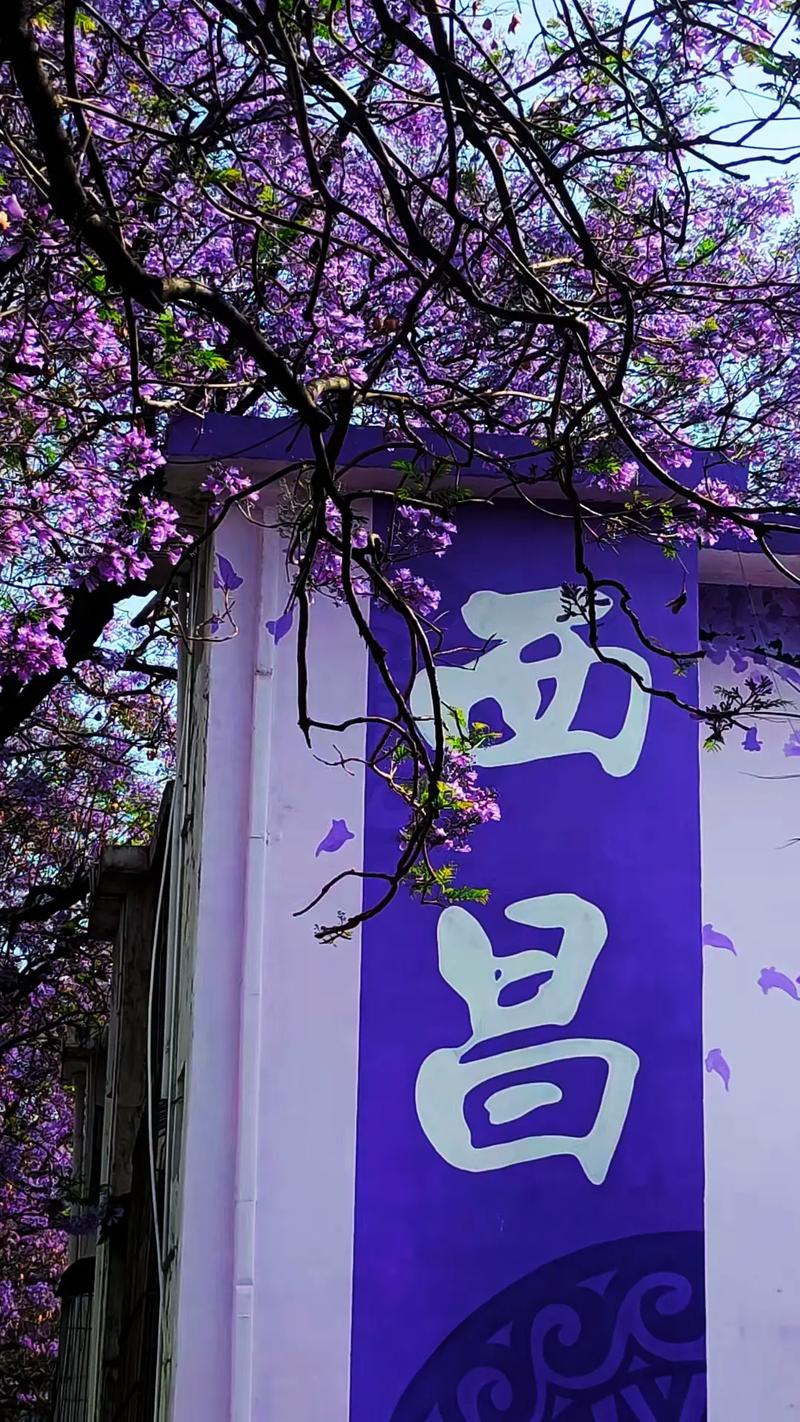 四川西昌，美景和美食攻略！