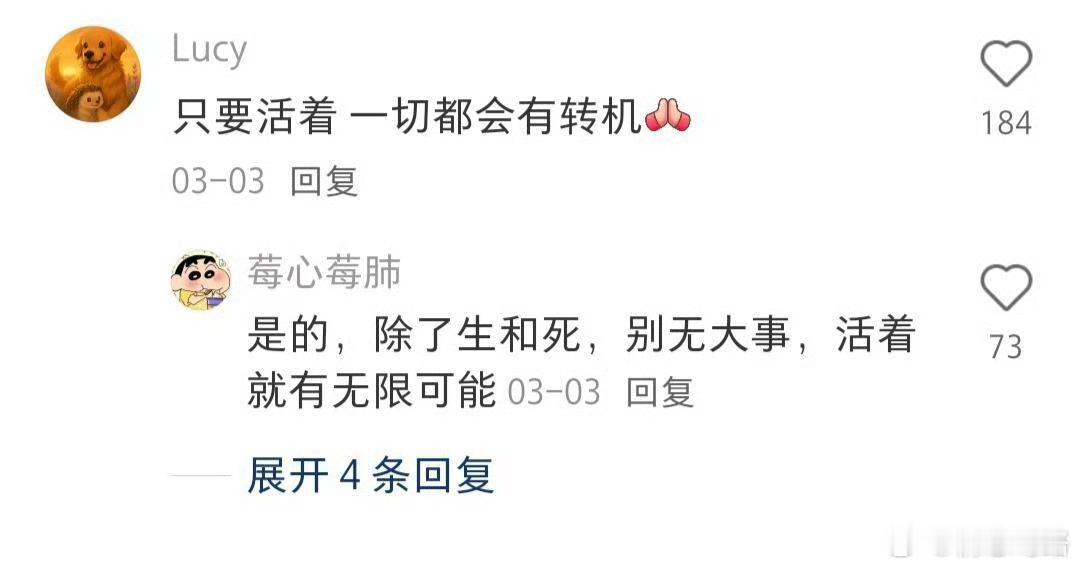 其实人生根本不会完蛋的！我们真的太怕了！前怕狼，后怕虎。怕痛，怕生病，怕被人看轻