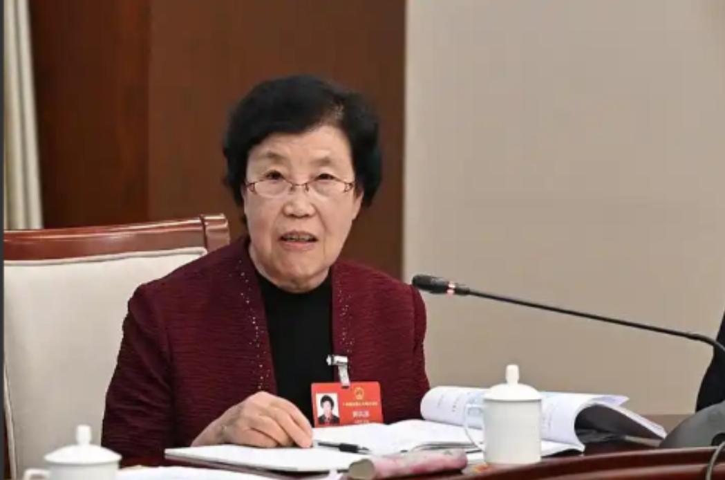 一位八十岁的农村老太太，在全国两会的会场上，只因为替农民说了一句“养老金太低”，