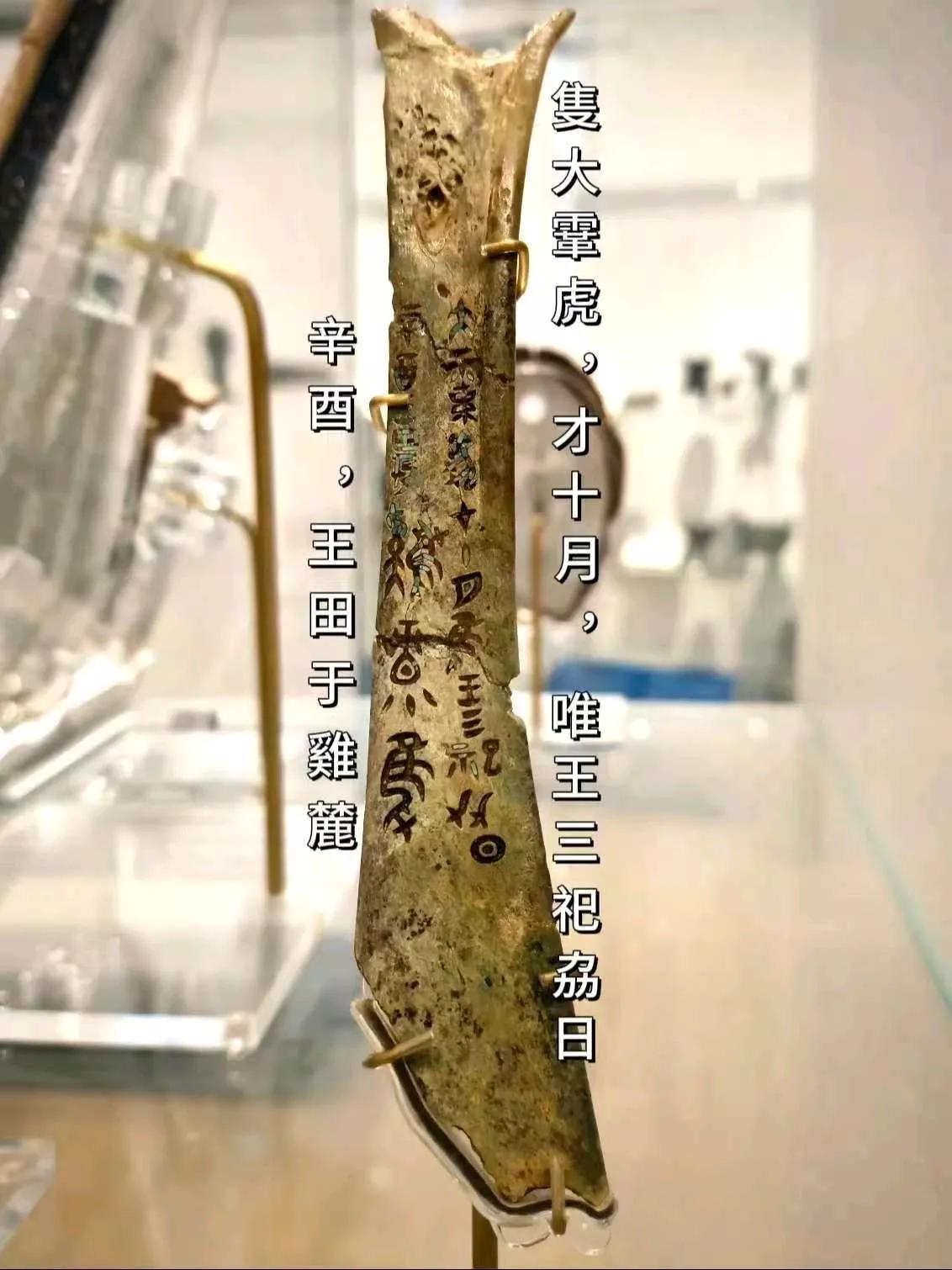 要不是这块虎骨刻辞，差点就被封神榜骗了…不同于商王昏庸残暴的印象，这块虎骨上却