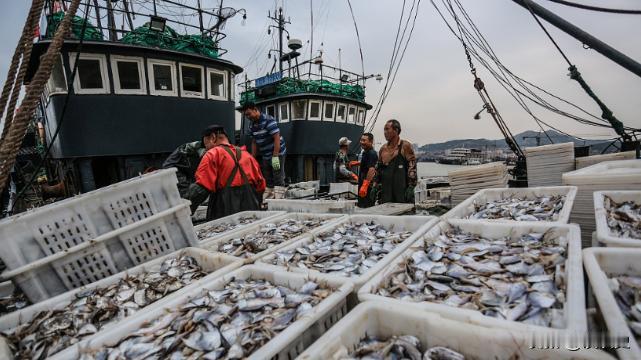 中国最大的渔场变为“死海”？曾经海产丰富的舟山渔场，现在却百里难见一条鱼，曾经生