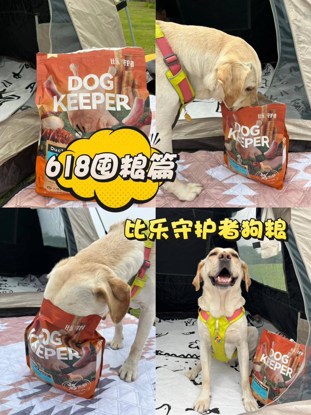 618狗粮抄作业！快冲！！！