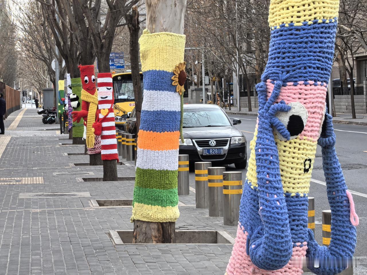 幼儿园门前的大树