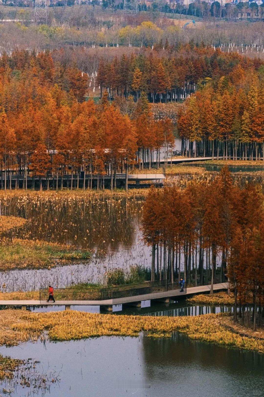 【中年最美的清醒，是让懂的人懂，让散的随风】中年最美的清醒，是