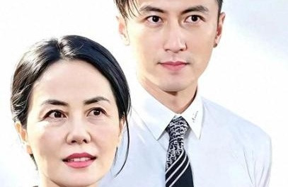 最近“王菲成了霍汶希挡箭牌”的说法又冒出来，不少人听完直挠头：这脑洞也太敢猜了。网友的逻辑很绕：霍汶