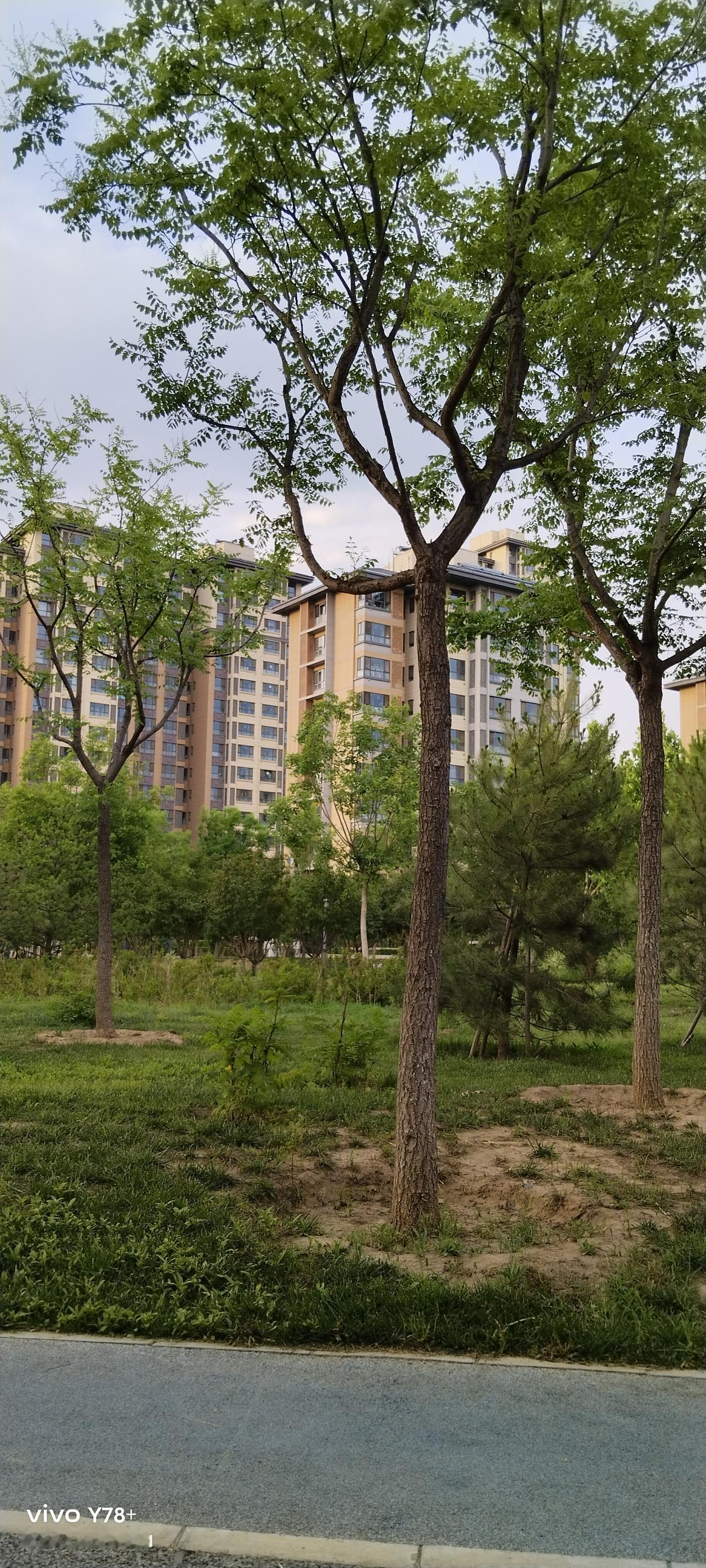 我们小区是2008年的步梯楼，共五层，一个单元10户。我邻居，30多岁的年轻夫