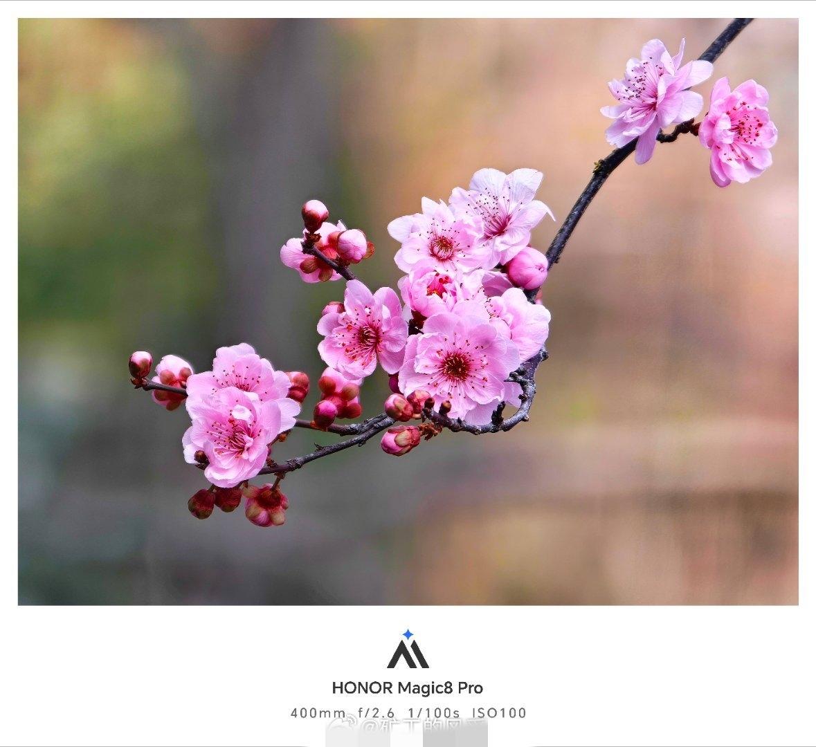 荣耀Magic8Pro的2亿像素主摄+潜望长焦，再配个增距镜，这组合挺越级的。