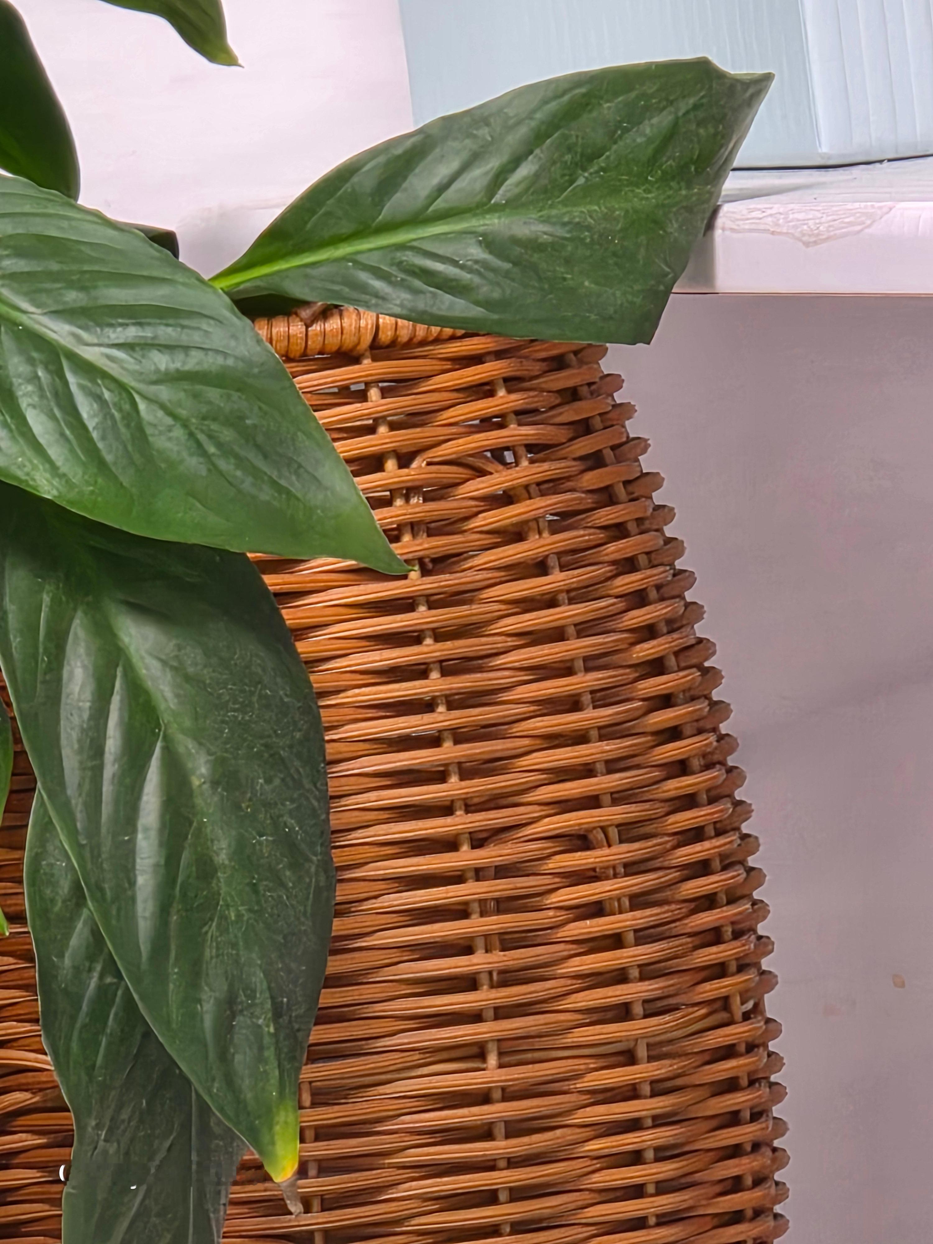 GalaxyS25Ultra默认相机20倍和ExpertRAW20倍，