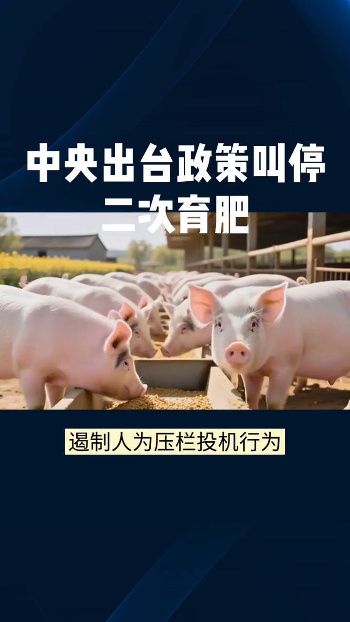 中央出台政策叫停二次育肥。中央出台政策叫停二次育肥，引导降低生猪出栏体重。这一
