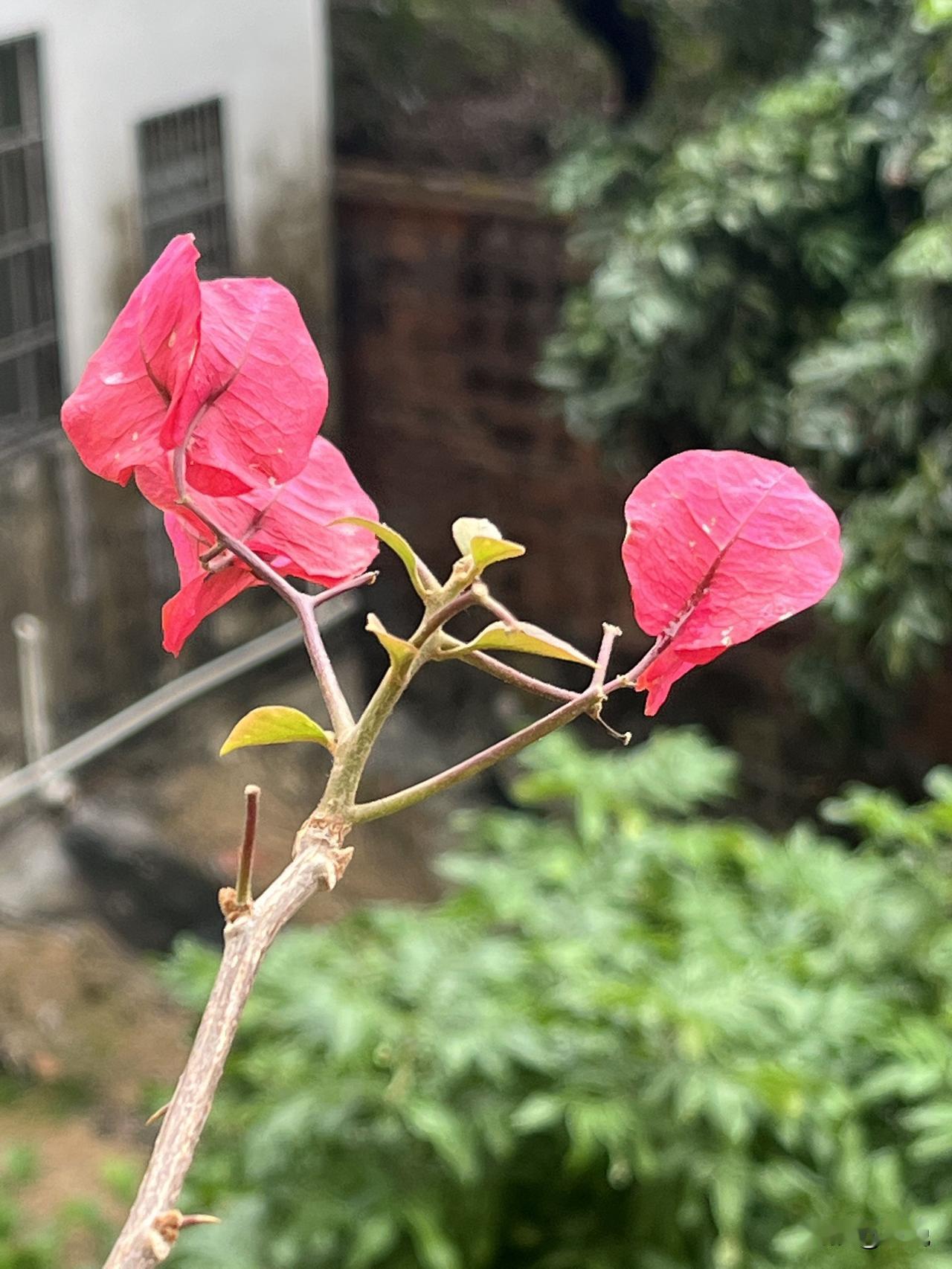 昨天刷到一个男的，居然说出了这样一番奇葩的话，你们觉得是支持还是反对呢？