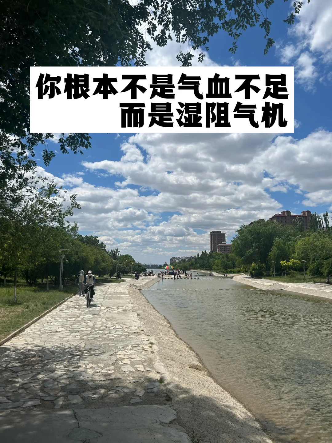 你根本不是气血不足，而是湿阻气机.
