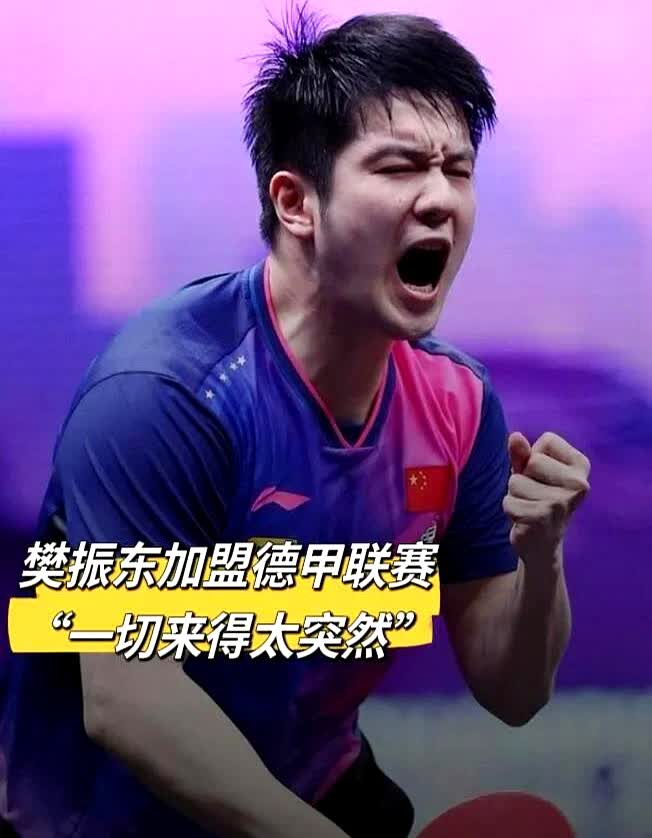 樊振东，这下你该满意了吧！本来以为让官方出手整治饭圈，你的目的就达到了，