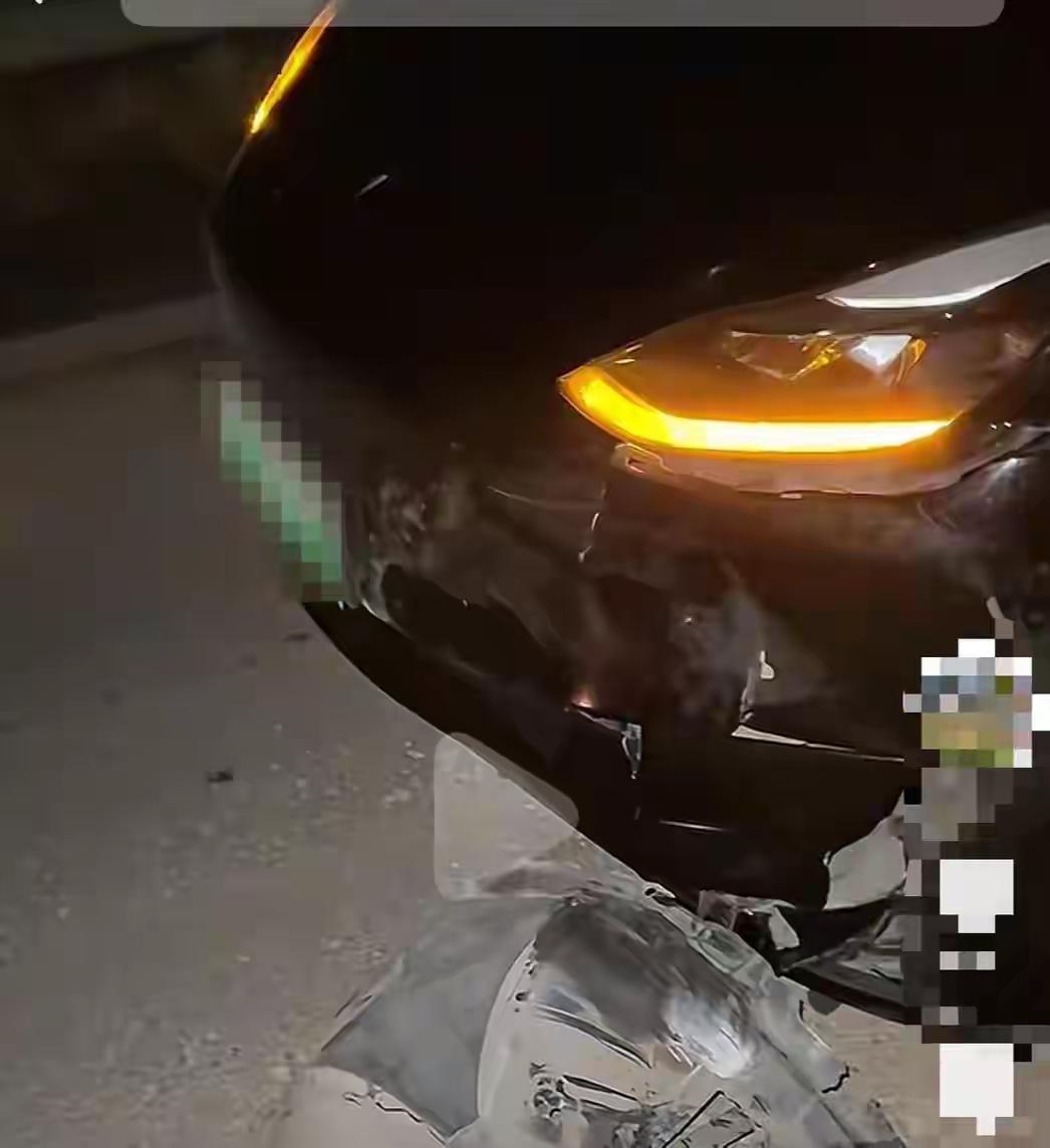 11月02日，在安徽省舒城县发生了一场特殊的交通事故。这一场事故造成了一头野猪被