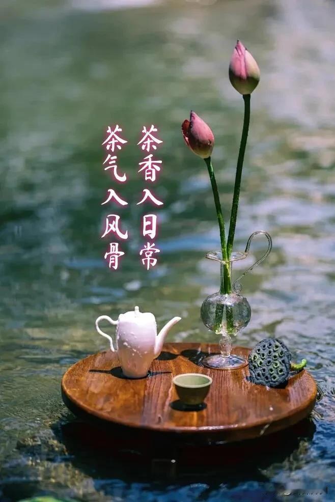 早安✨新的一天，愿阳光洒满前路，温柔伴你朝夕。