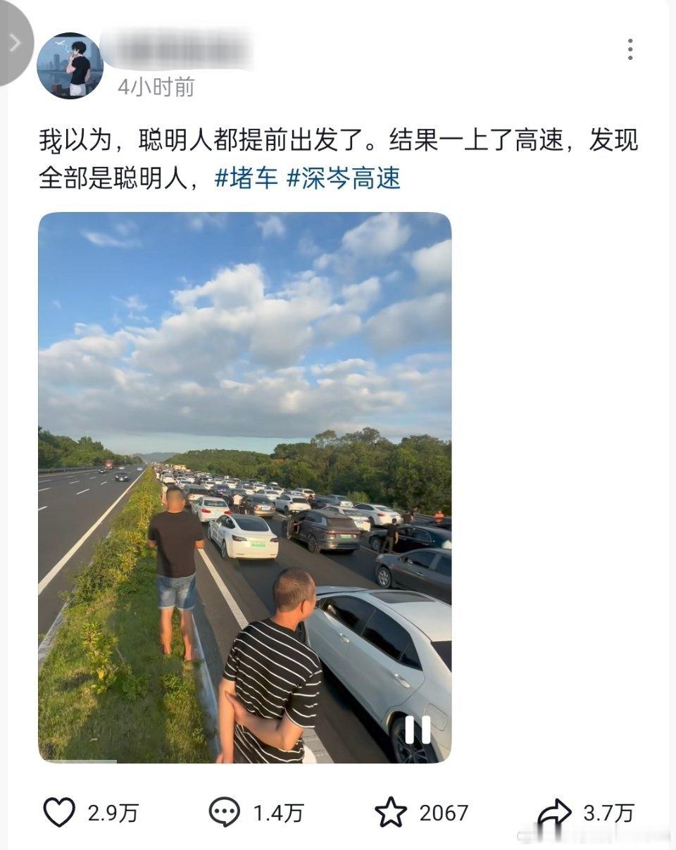 堵车有网友以为，聪明人都提前出发了，结果一上高速，发现全都是聪明人。堵车了[允悲