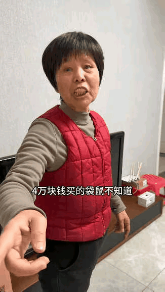 简直无法理解！陕西一女孩瞒着家人花40000块钱买回一只袋鼠，妈妈回家看到客