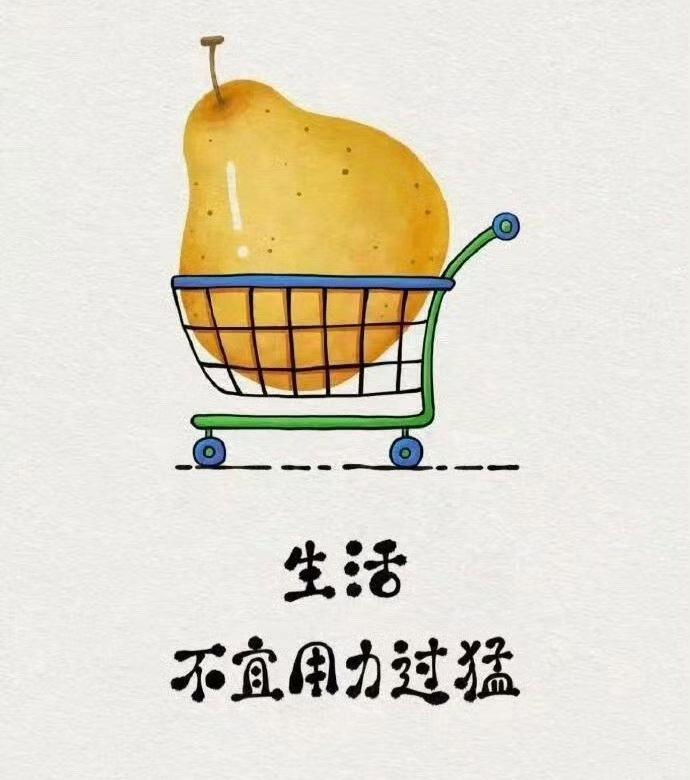 人生这场修行，修的不是圆满，是随缘。淡淡的，刚刚好；浅浅的，更长久。风来