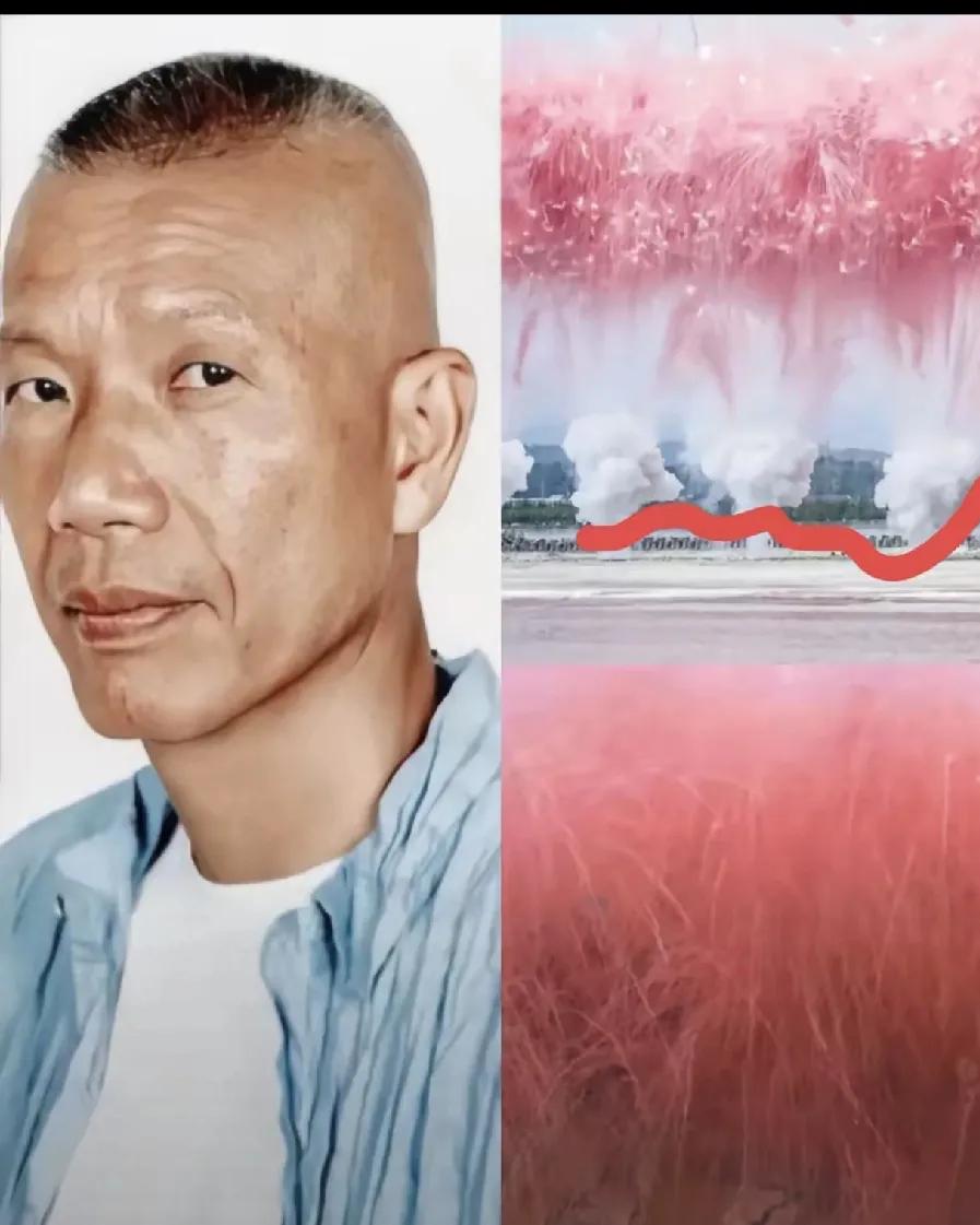 蔡国强就像那地主家的那啥，然后一帮子人出钱的出钱，开道的开道陪他瞎胡闹，他说，他