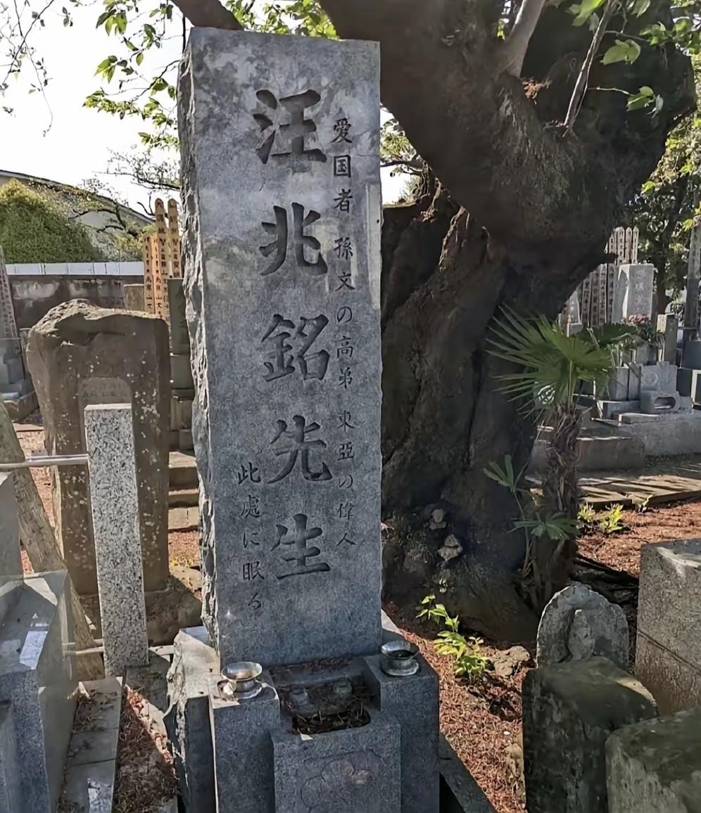 大汉奸汪精卫钢铁浇筑的坟墓被炸，最终尸骨无存。事后，日本却悄悄为他立了一座碑！这