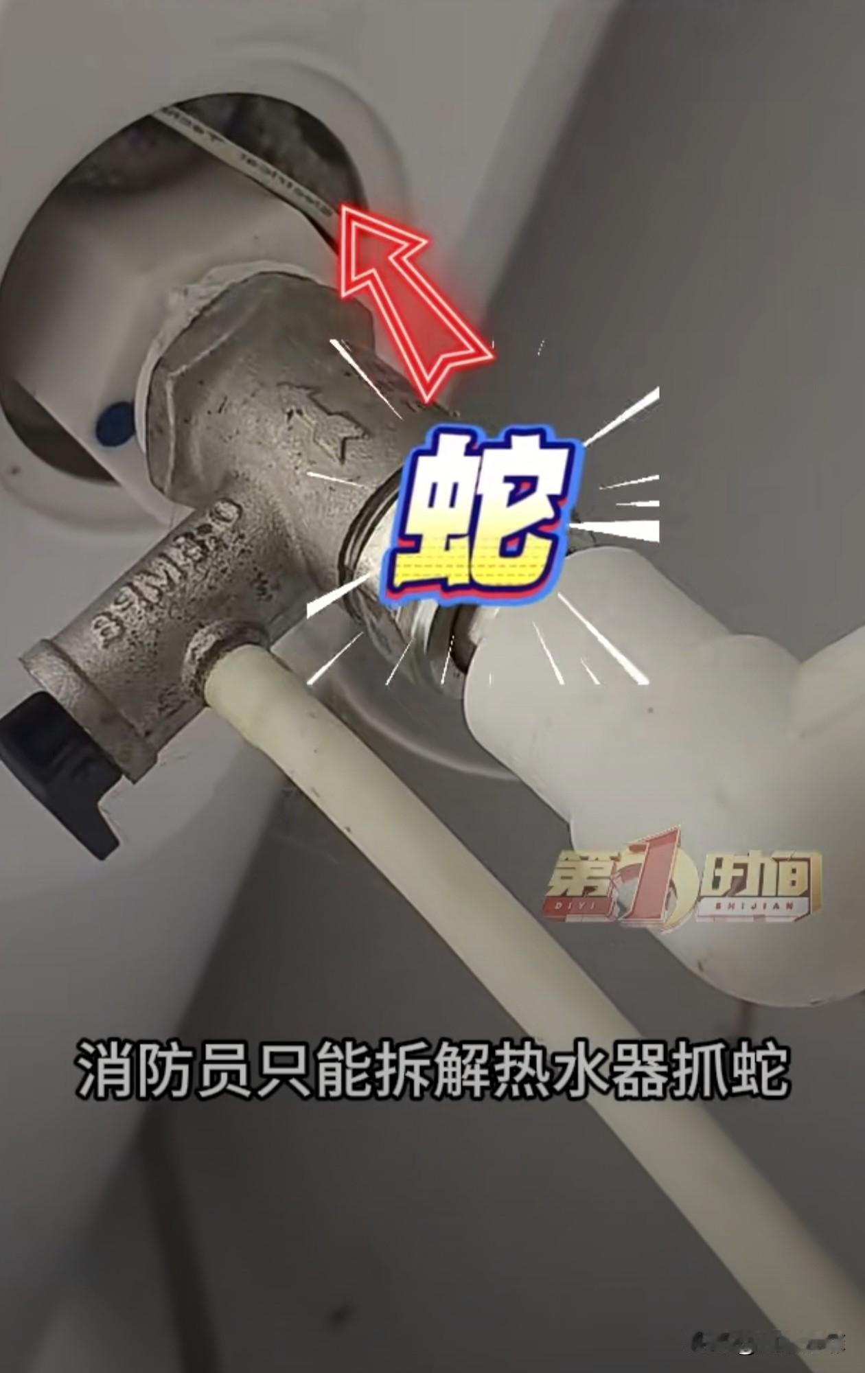 安徽，一女子凌晨回到家准备洗澡睡觉，谁知刚进浴室打开灯，却发现插线板上有团黑乎乎