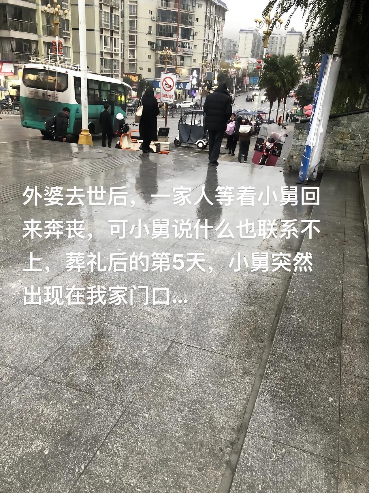 外婆去世后，一家人等着小舅回来奔丧，可小舅说什么也联系不上，葬礼后的第5天，小舅