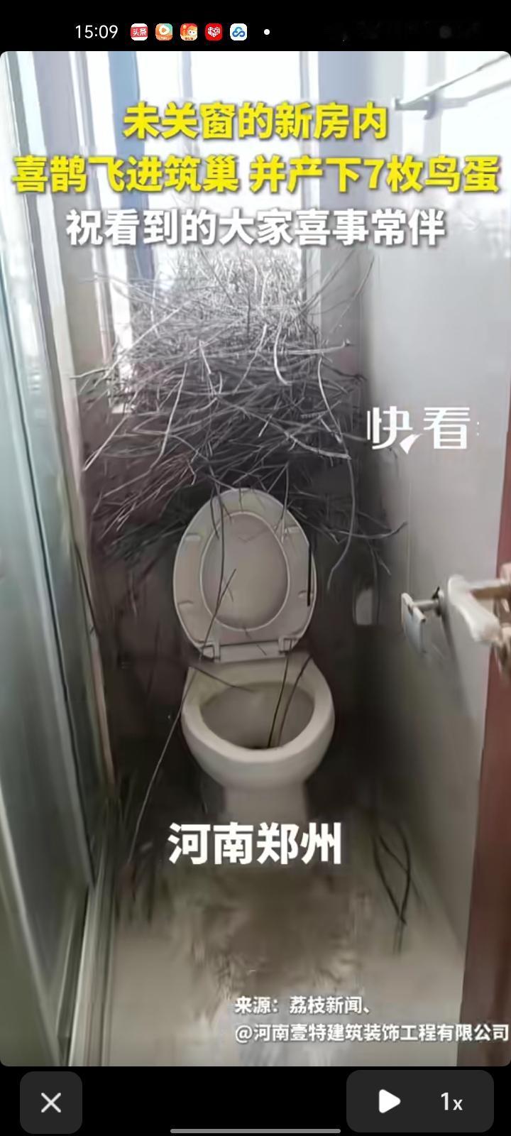 4月14日，郑州市中牟县。一套正在装修的新房里发生了暖心一幕，卫生间未关窗，喜鹊