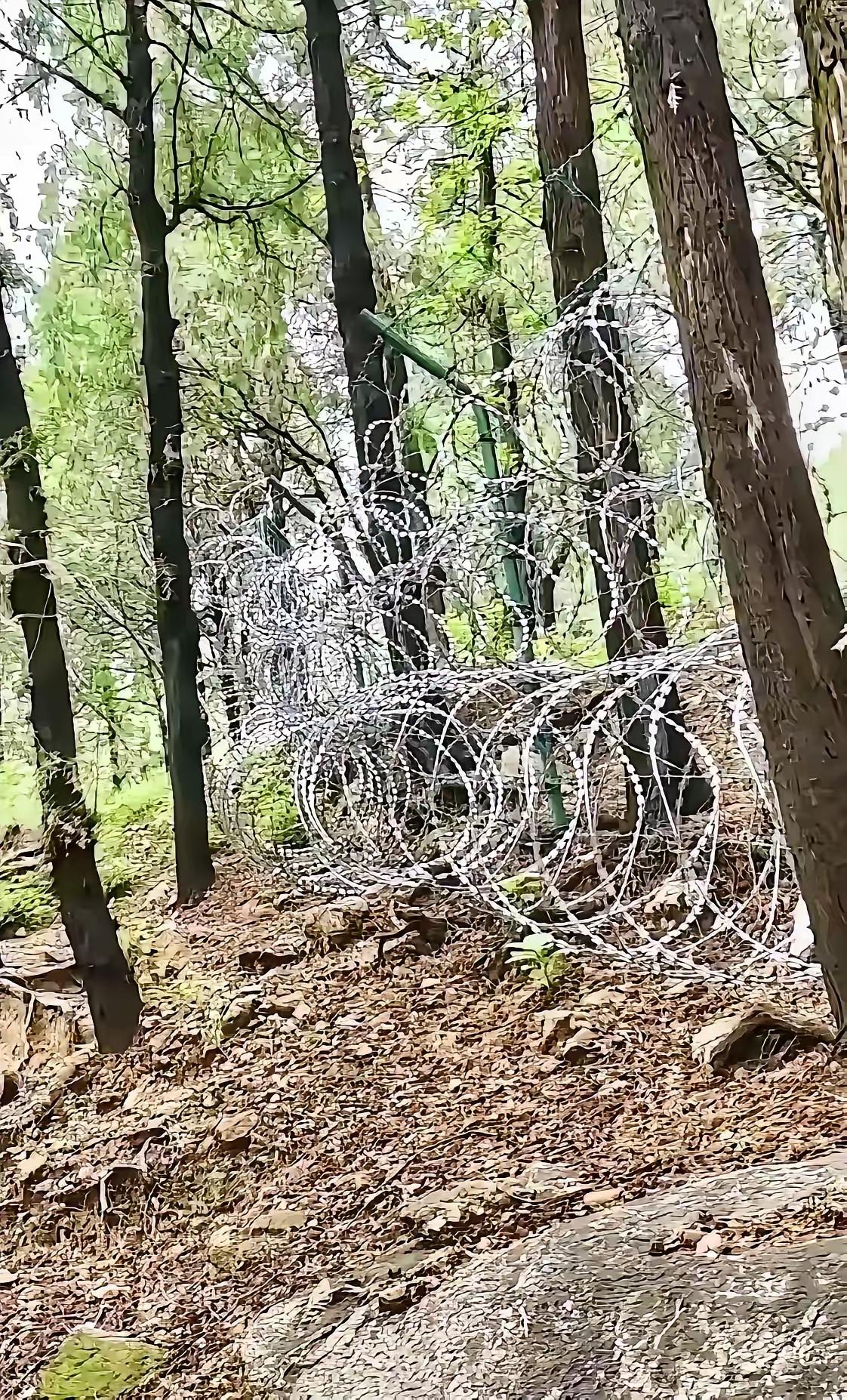 好奇查了一下泰山防护网施工的是哪家单位？这家公司全名叫泰安一久市政工程有限公司