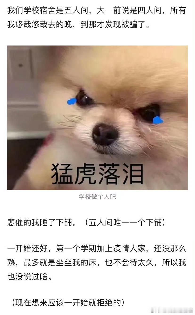 下铺的床被当作了休息区​​​